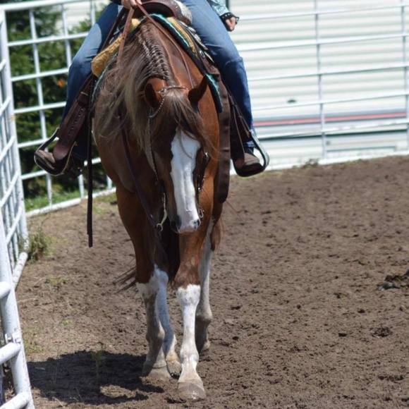 Meet your Posher, Mya - Picture 1 of 1